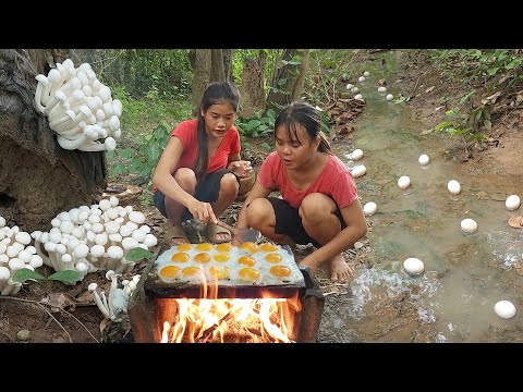 Pick Egg and Mushroom in rainforest, Egg grilled on the rock with Mushroom for dinner