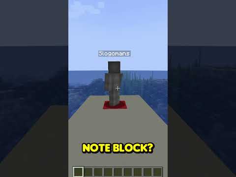 GUESS What SLOGO Is Holding in Minecraft!