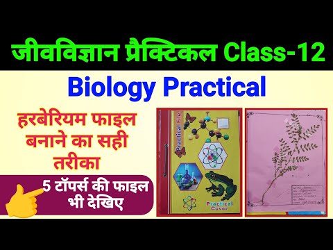 12th Biology practical | हरबेरियम फाइल कैसे बनाते हैं | herbarium file kaise banaye class 12 | bio