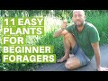Foraging Knowledge and Plant Uses