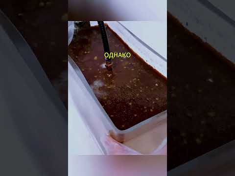 Что Стало с Яблоком После Года в Воде? Реальный Эксперимент