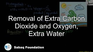 Removal of Extra Carbon dioxide and Oxygen, Extra Water