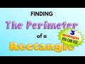 Understanding the Perimeter of a Rectangle