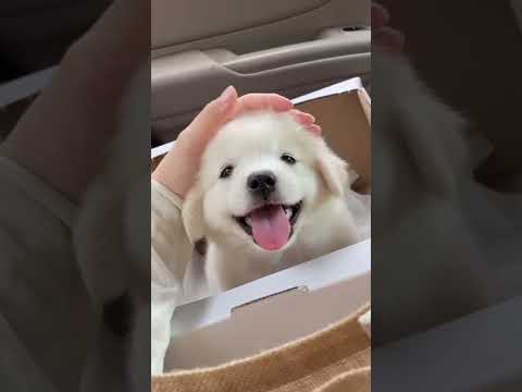 입꼬리 안 올라가기 챌린지 Part2