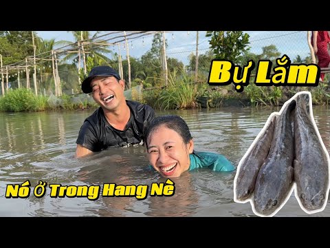Cẩm Vân và Cẩm Tiên Cùng Một Người Bạn Ở Phú Quốc Thi Nhau Mò Cá , Bất Ngờ Dính Cá Lóc Khủng