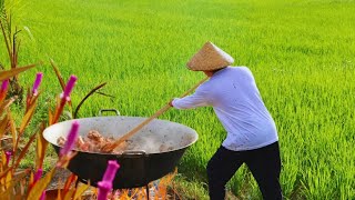 Seafoods Fiesta in the Heart of Green Ricefields | Harvest Corn, Grilled Fish, Seafoods Overload