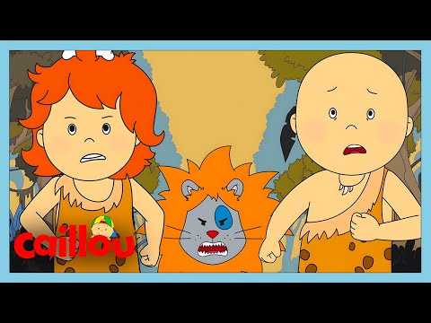 Aç Aslan Caillou'nun Peşinde! | Kayu | WildBrain Çocuklar