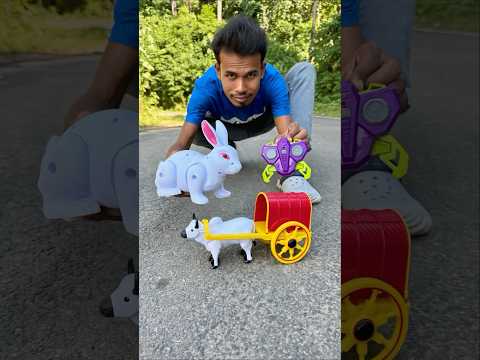 Remote wala Gorur Gadi and Rc Rabbit Unboxing 😊