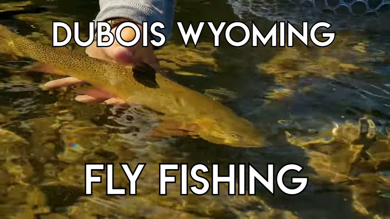 Dubois Wyoming The New Fly Fisher