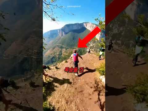 목숨을 건 다이빙ㄷㄷ