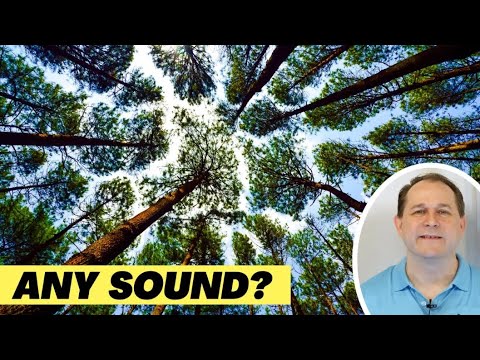 If a Tree Falls in the Forest does it REALLY make a Sound?