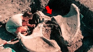 Descubrimiento Brutal: Más de 2000 piezas de Animales Prehistóricos