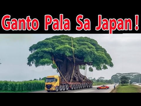 ANG GALlNG!  GANlT0  PaIa  Sa  JAPAN !