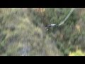 Physics of Free Fall and Acceleration