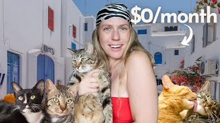 Living RENT-FREE in Greece 🇬🇷 (housesitting 101)