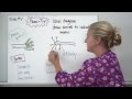 Neurons and Signal Transmission Concepts