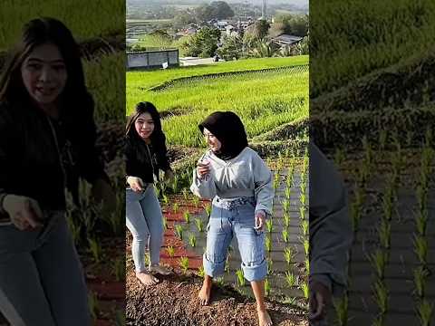 Petani #petani #ketawa #ngakak #lucu #comedy #shorts #jaecekuh