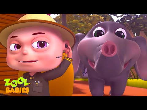 Forest Rangers Elephant Rescue & More | Zool Babies Hindi Series | बच्चों के कहानियाँ | Kids Cartoon