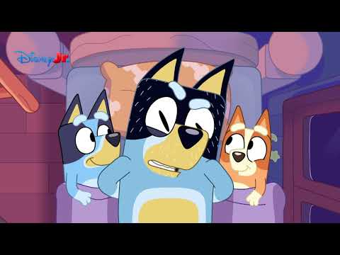 Bluey Curtas | Três Porquinhos