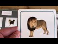 Vertebrates and Invertebrates Classification