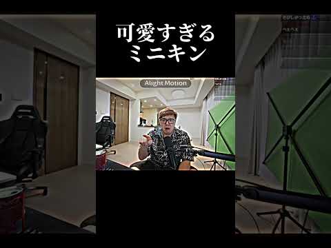 可愛すぎるミニキン #ヒカキン