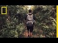 Conservation Efforts and Achievements