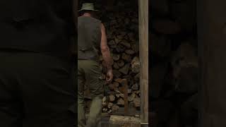 Splitting firewood — the technique most people miss
