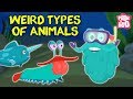 Unique Animal Facts and Abilities