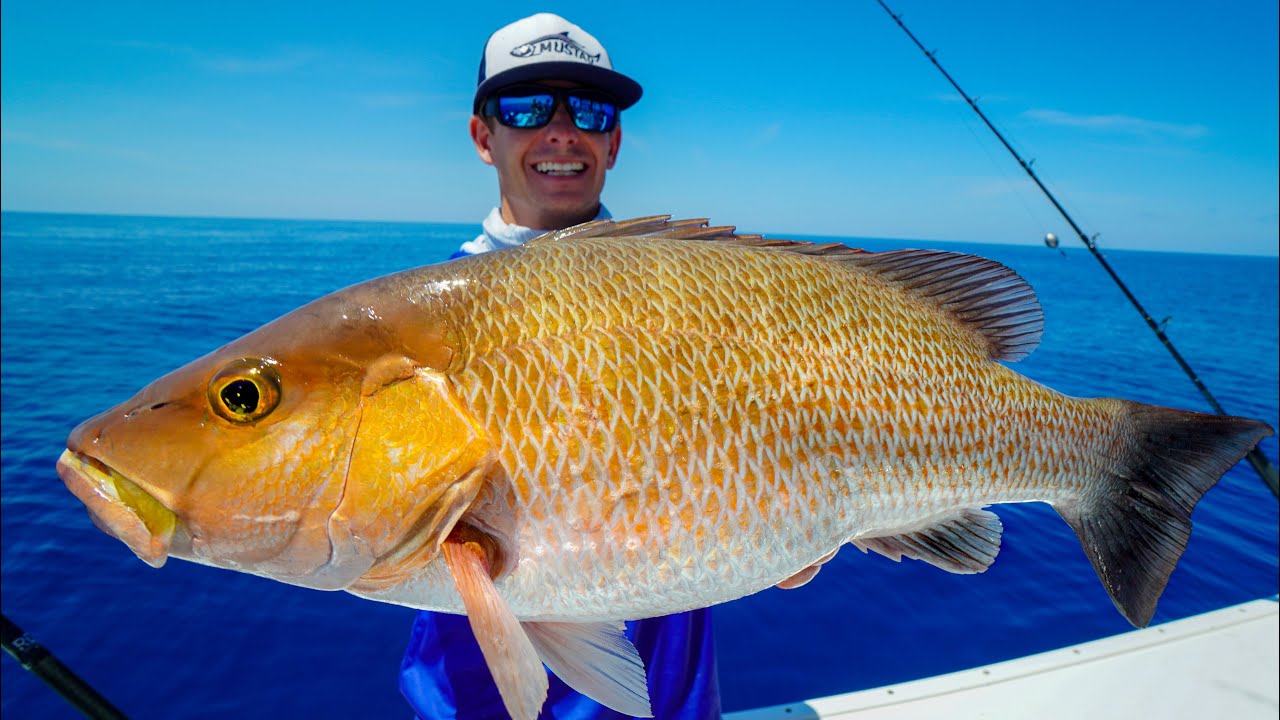 MONSTER Mangrove Snapper! Catch Clean Cook