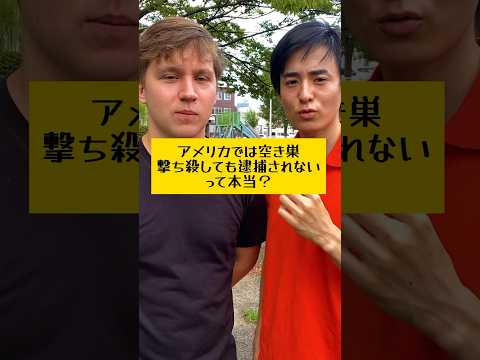 アメリカでは空き巣撃ち殺しても逮捕されないって本当？ #アメリカ #強盗 #銃 #英語