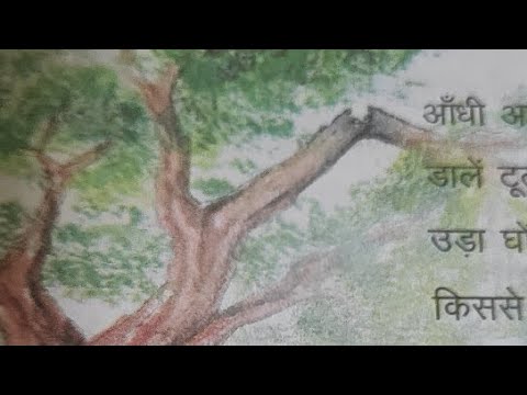 हिंदी बालगीत - कहां रहेगी चिड़िया . Hindi rhymes
