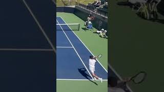Michael Zheng at the Net