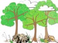Kin Selection and Altruism Concepts