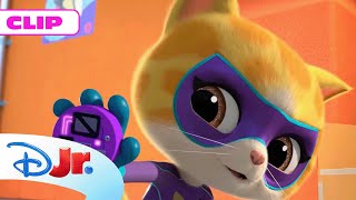 SUPERKITTIES: Entrenamiento de gatitos 😺 | @DisneyJuniorES