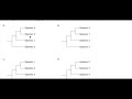 Gene Sequences and Species Relationships