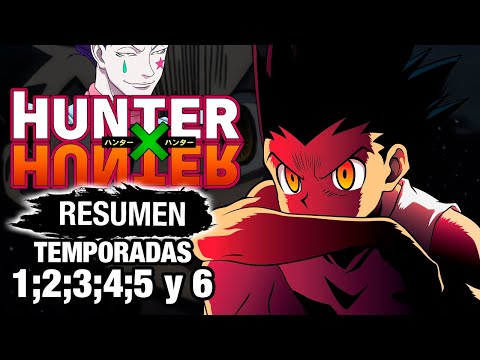 🌟HUNTER X HUNTER [Resumen] TEMPORADAS 1; 2; 3; 4; 5 y 6 | ANIME RESUMEN - RESÚMENES DE ANIME