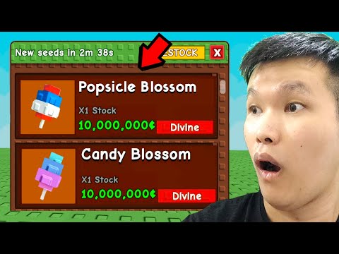 OMG! OWNER BIKIN CANDY BLOSSOM BARU DI GROW A GARDEN ROBLOX??