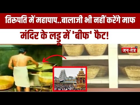 तिरूपति में महापाप..बालाजी भी नहीं करेंगे माफ, प्रसाद में बिफ फैट Breaking News | JTV