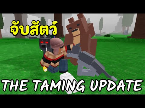 ยามเช้าในป่า | 99 คืนในป่า
