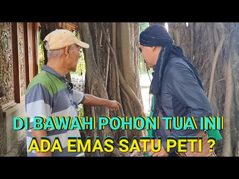 ADA EMAS SATU PETI ?! KUNCEN MAKAM GA' BERANI AMBIL ...