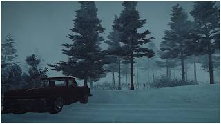 Howling Blizzard Sounds in a Frosty Forest┇Heavy Blasts of Snowstorm Gusts┇Perfect Sounds to Sleep