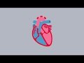 Atrial Fibrillation Treatment and Symptoms