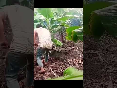 Drilling Machine gone Rogue