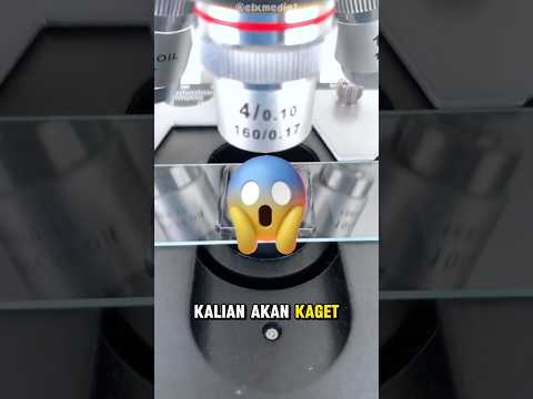 Ada apa itu didalam air hujan!? 🤯 #shorts #viralvideo #microscope