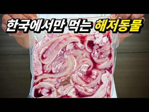 편견을 버리면 미치도록 맛있는 포장마차 술도둑