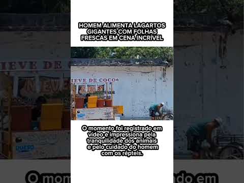 Você nunca viu algo assim: homem joga folhas e lagartos aparecem!