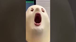 Memes