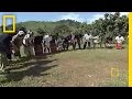 Gorilla Tourism and Its Impact