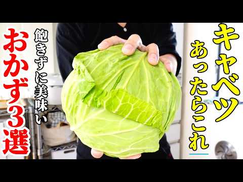 【大量消費!】『キャベツおかず3選!』♢丸っと1玉!飽きずに美味しいおかずレシピ!♢