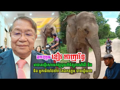 រឿងដំរី Lucky មានគេផ្ញើរសារមក ឯកឧត្តម ខៀវ កាញារីទ្ធ ឲ្យជួយពិនិត្យករណីដំរី និង អ្នកមើលថែទាំ តែ